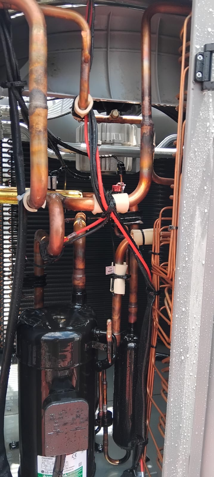 WhatsApp Image 2025-06-20 at 3.10.06 PM