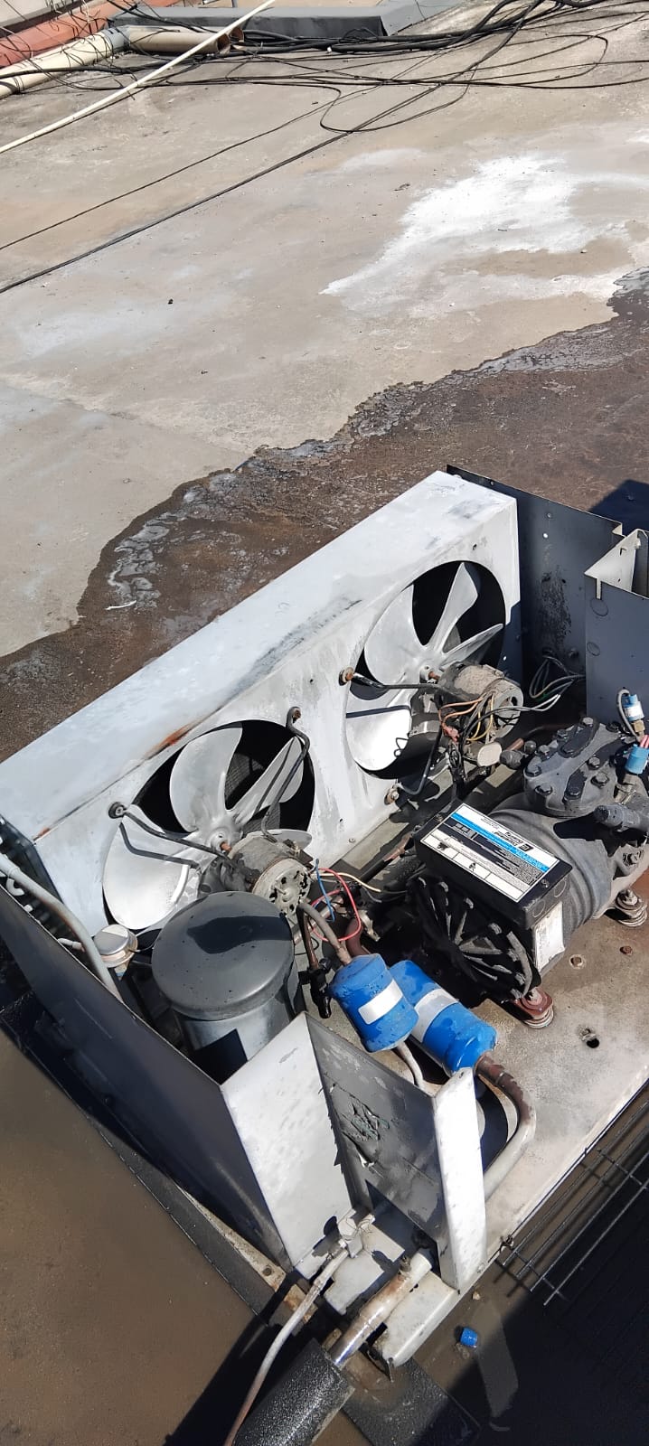 WhatsApp Image 2025-06-20 at 3.10.09 PM (1)