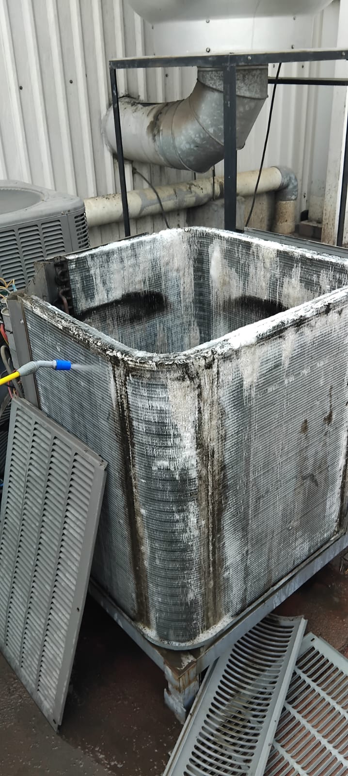 WhatsApp Image 2025-06-20 at 3.18.59 PM (1)